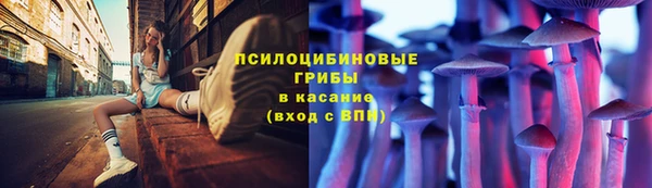 Альфа ПВП Касимов