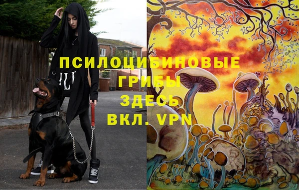 первитин Карталы